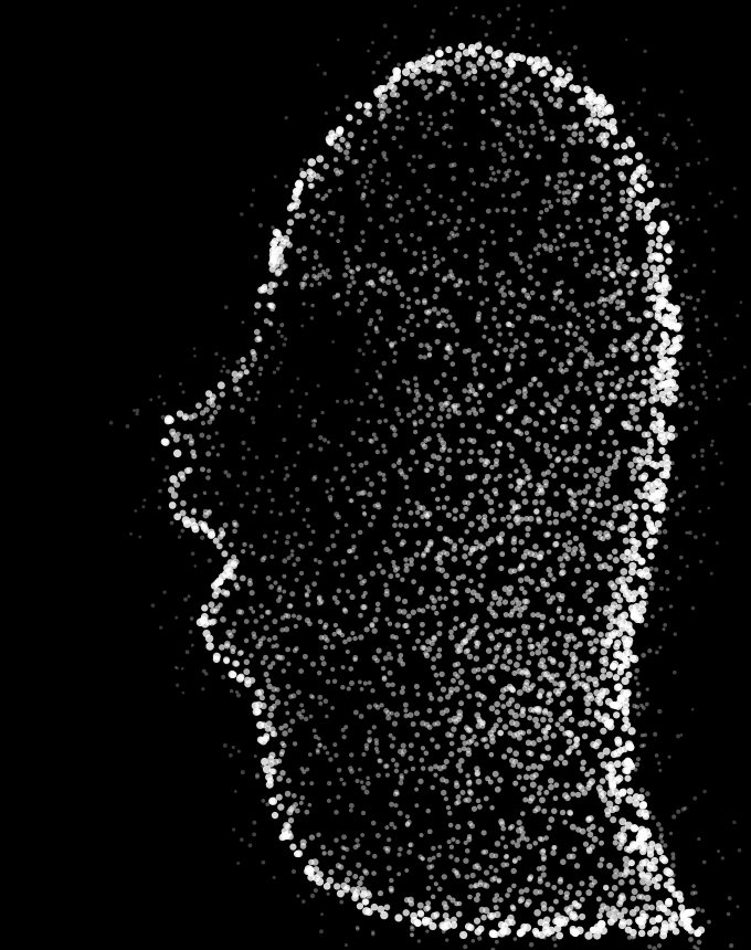 A face rendered as scattered points of light
